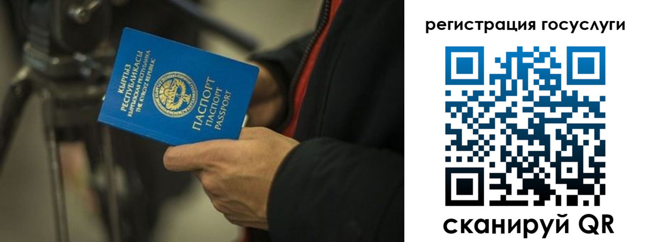 регистрация в Мурманске
